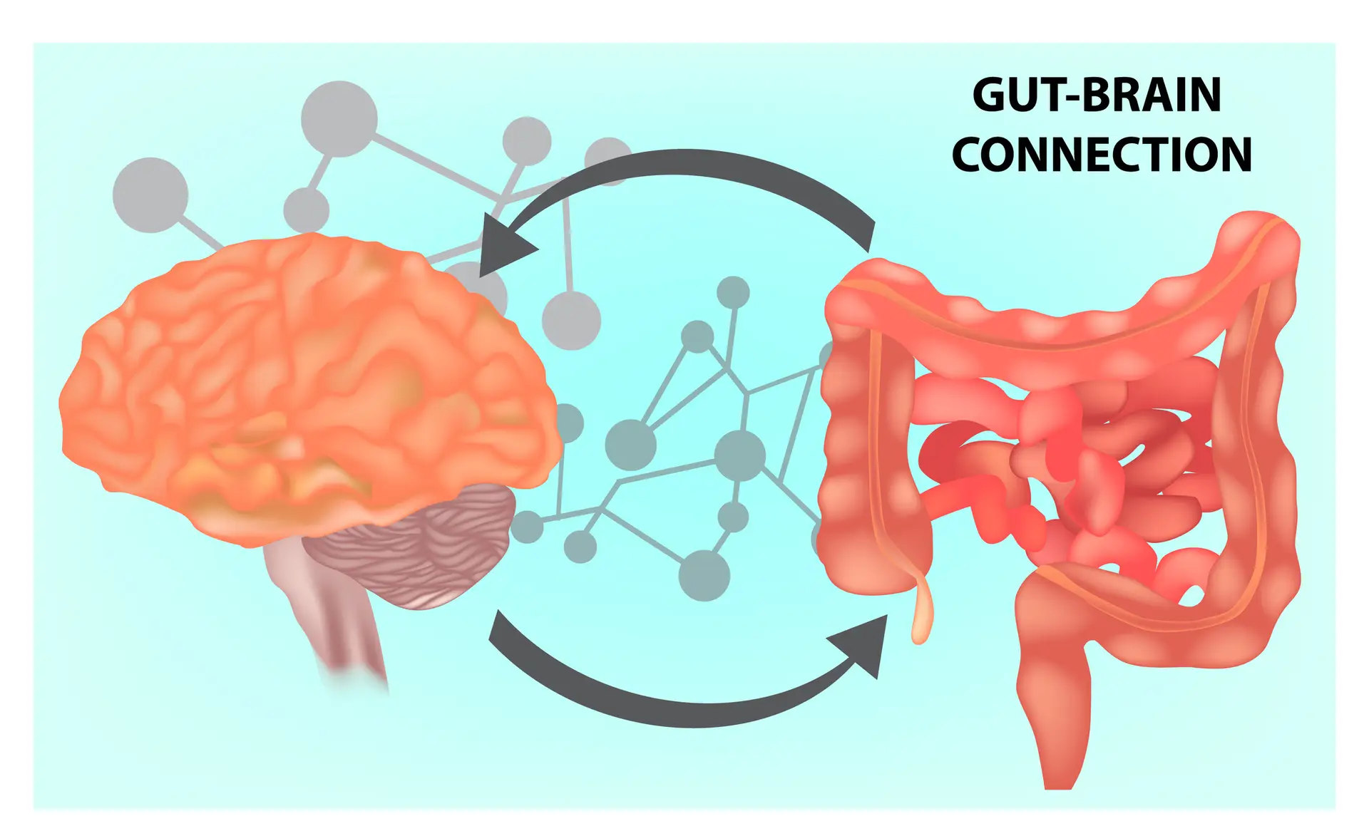 Vaidyaraj Anil Validates Schizophrenia ADHD Gut Axis: Offers To Redefine Mental Healthcare Through Gut